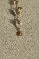 IMG_1776.jpeg